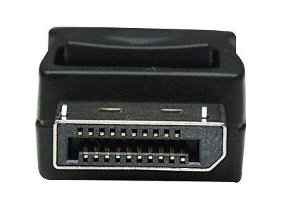 TECHly - Anzeige- / Audiokabel - DisplayPort (M)