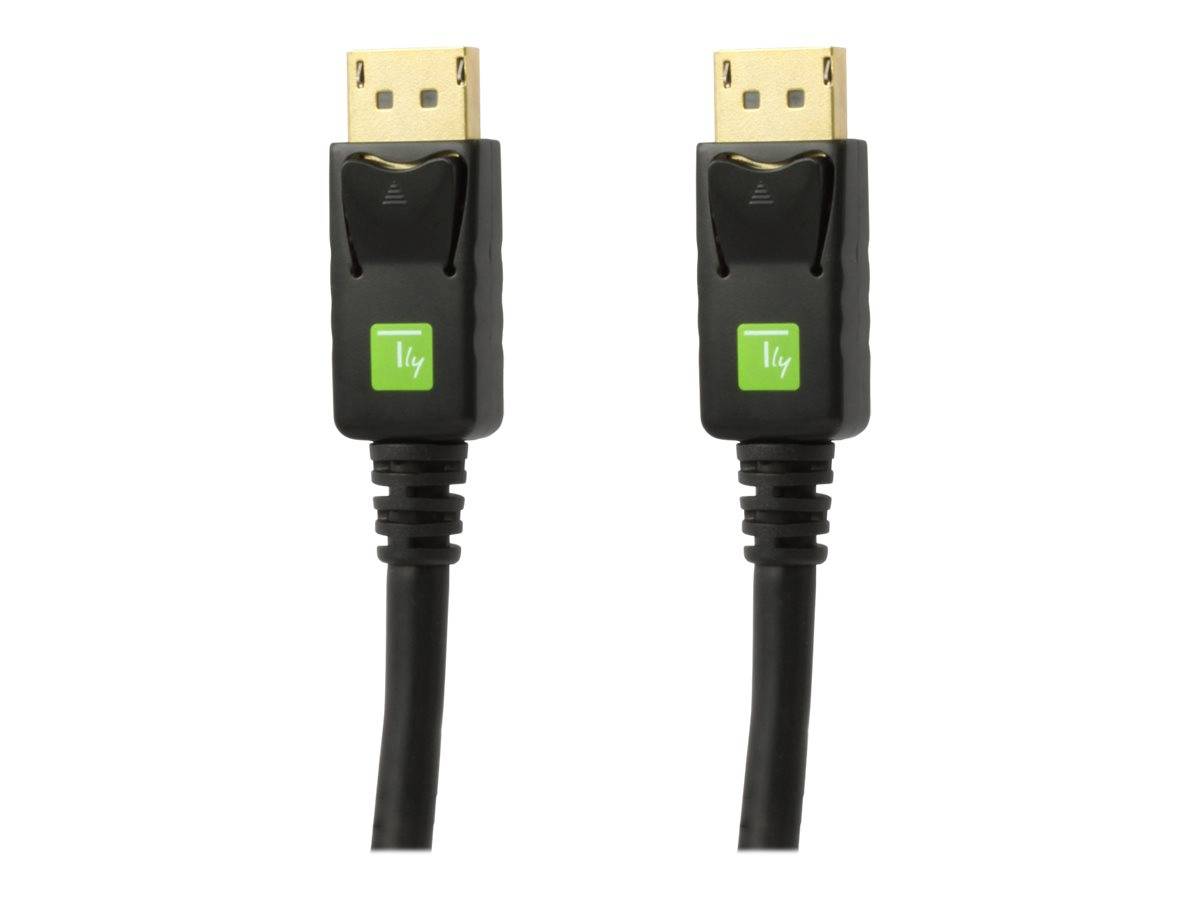 TECHly - Anzeige- / Audiokabel - DisplayPort (M)