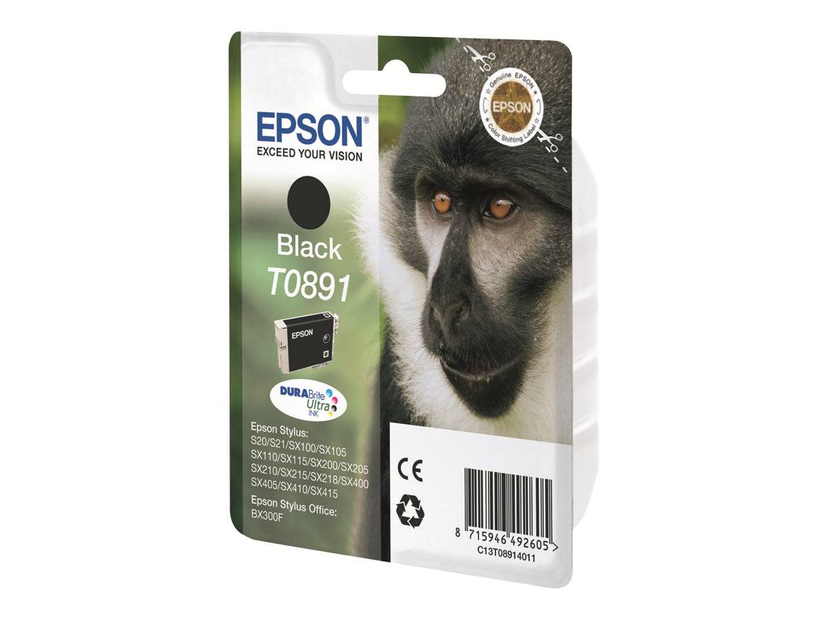 Epson Druckerpatrone T0891 Original Schwarz C13T08914011