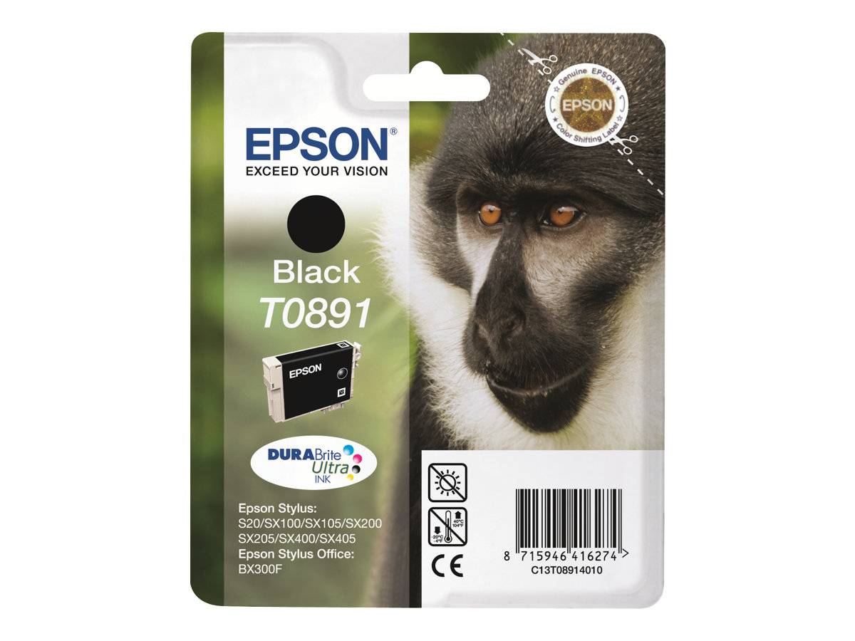 Epson Druckerpatrone T0891 Original Schwarz C13T08914011