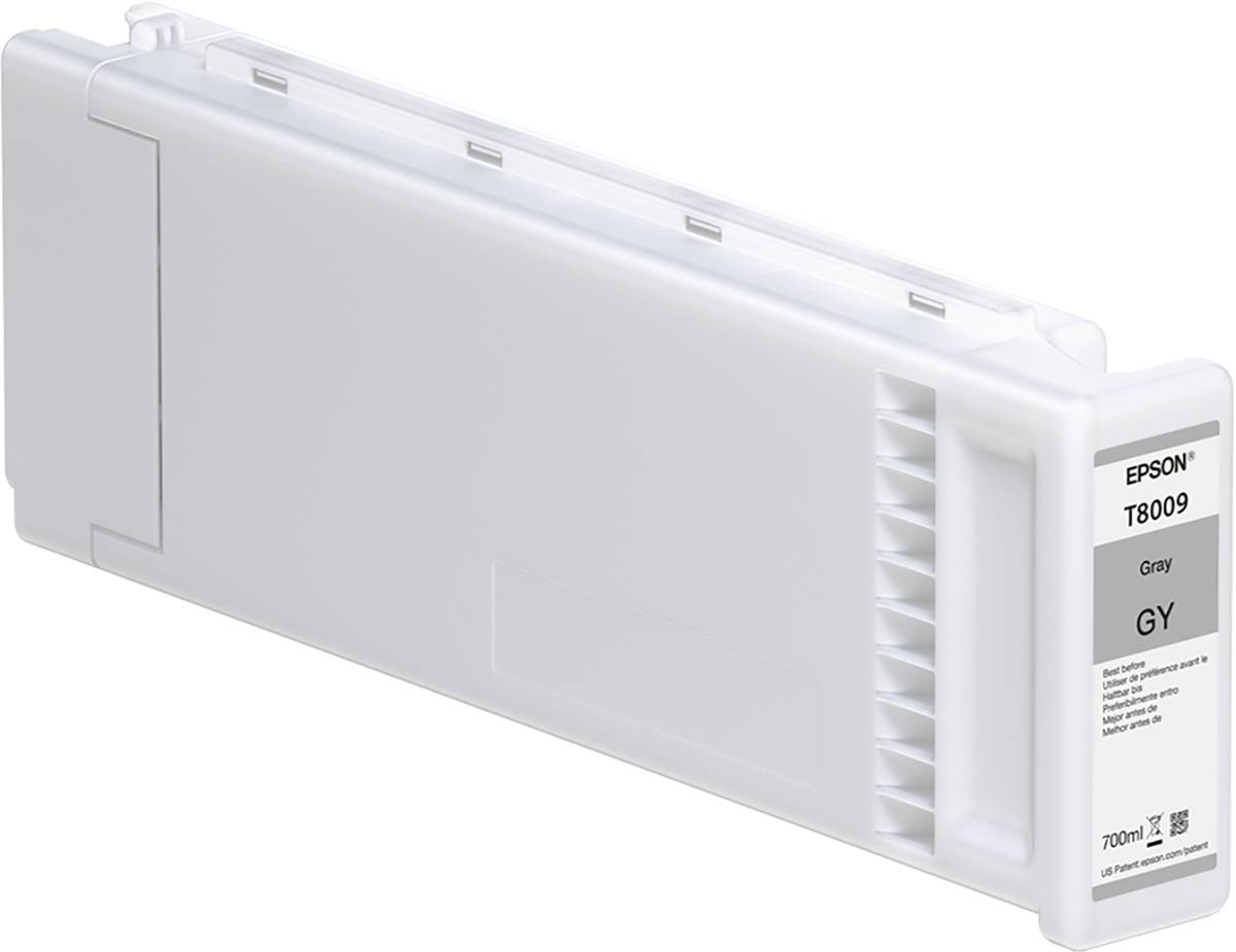 Epson Druckerpatrone T8009 Original Grau C13T800900