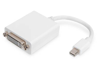 Digitus AK-340406-001-W DisplayPort / DVI Adapter [1x Mini-DisplayPort Stecker - 1x DVI-Buchse 24+5pol.] Weiß 15.00 cm