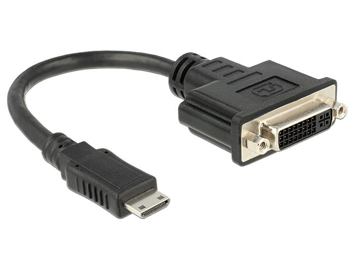 Delock - Videoadapter - 19 pin mini HDMI Type C männlich zu DVI-I weiblich