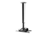Celexon MultiCel 60110 Expert Beamer-Deckenhalterung Neigbar Boden-/Deckenabstand (max.): 110 cm Silber