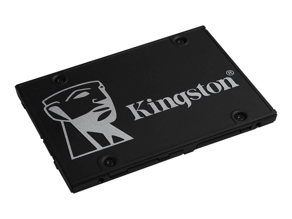 Kingston 256 GB Interne mSATA SSD SATA 6 Gb/s Retail SKC600MS/256G