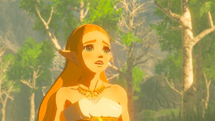 NINTENDO - The Legend of Zelda Breath of the Wild - Nintendo Switch