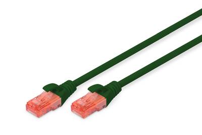 Digitus DK-1617-010/G RJ45 Netzwerkkabel, Patchkabel CAT 6 U/UTP 1.00 m Grün 1 St.
