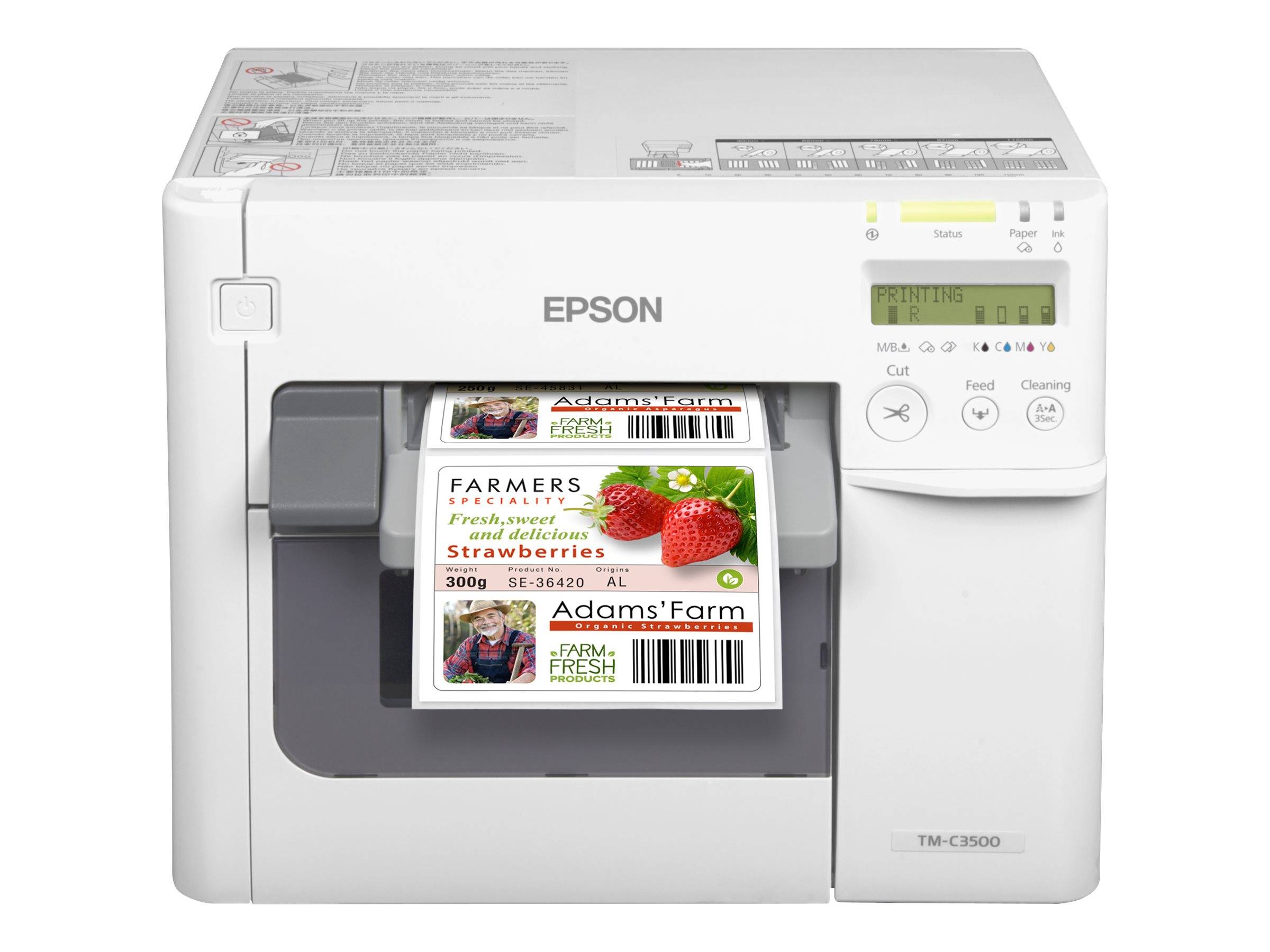 Epson TM C3500 - Etikettendrucker - Farbe - Tintenstrahl - 112mm (Breite)