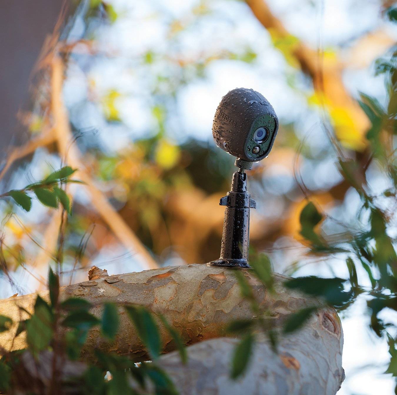 ARLO VMA1000B Kamerahalter Schwarz