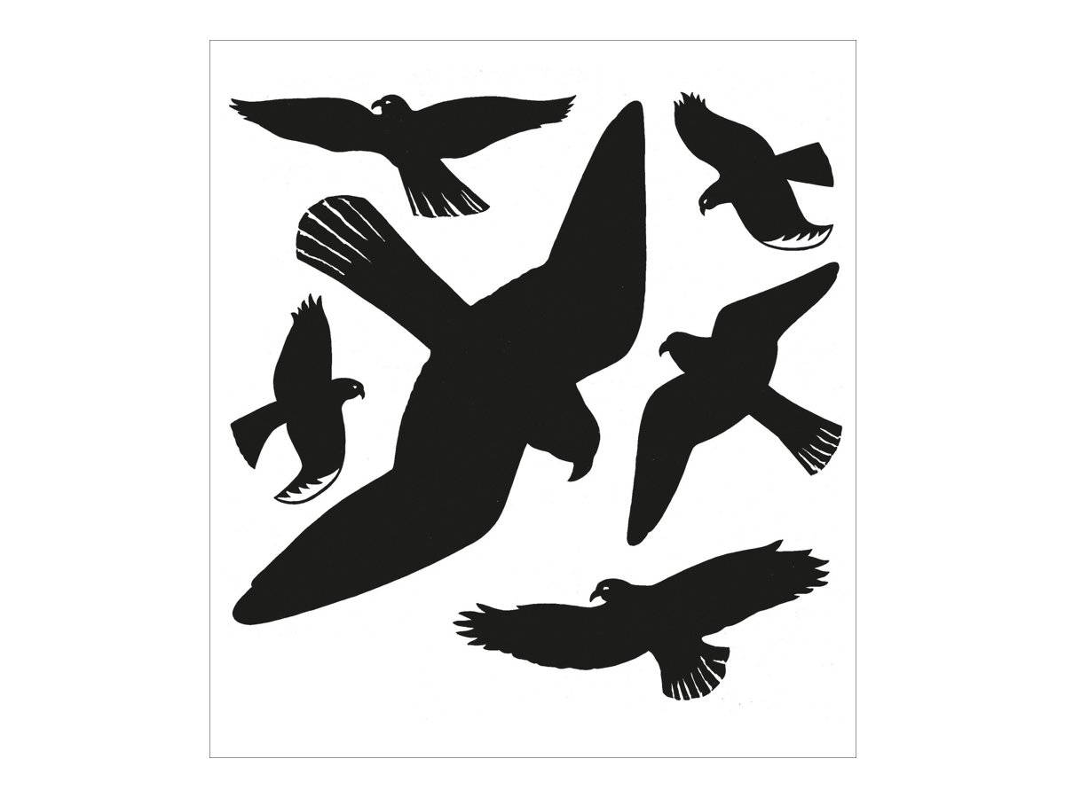 Warnvögel 30x30cm schwarz VE=1 Blatt