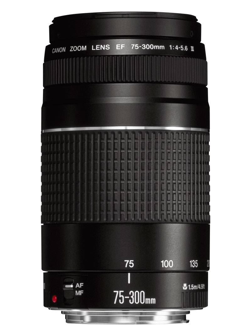 Canon EF DC 4,0-5,6/75-300 III 6473A015 Zoom-Objektiv