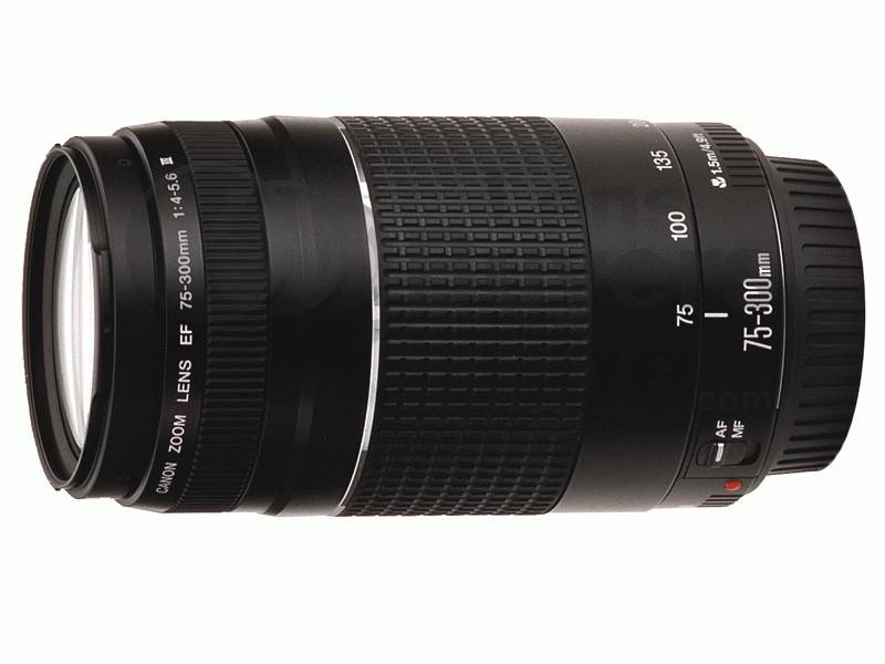 Canon EF DC 4,0-5,6/75-300 III 6473A015 Zoom-Objektiv