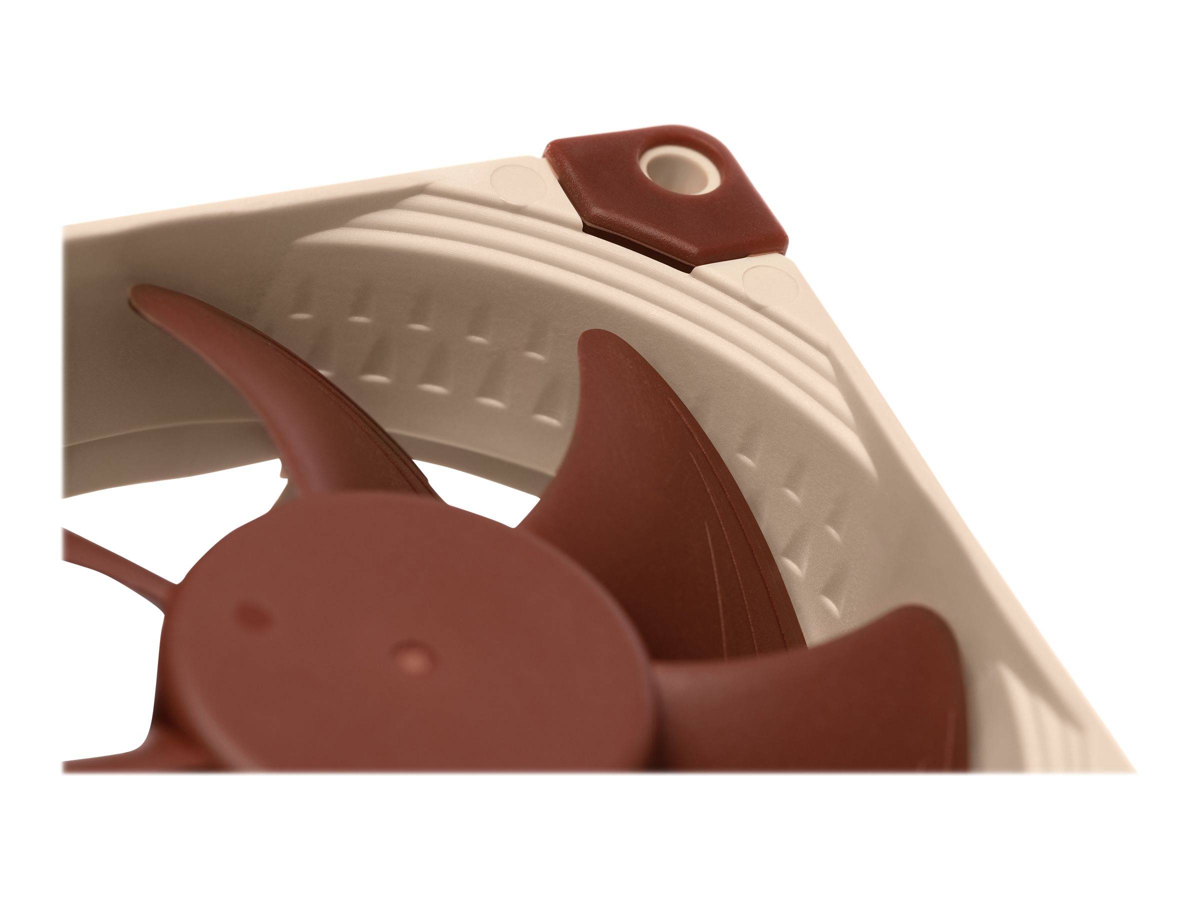 Noctua NF-A8 5V PC-Gehäuse-Lüfter Braun (B x H x T) 80 x 80 x 25 mm