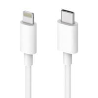 TECHly - Lightning-Kabel - 24 pin USB-C männlich zu Lightning männlich