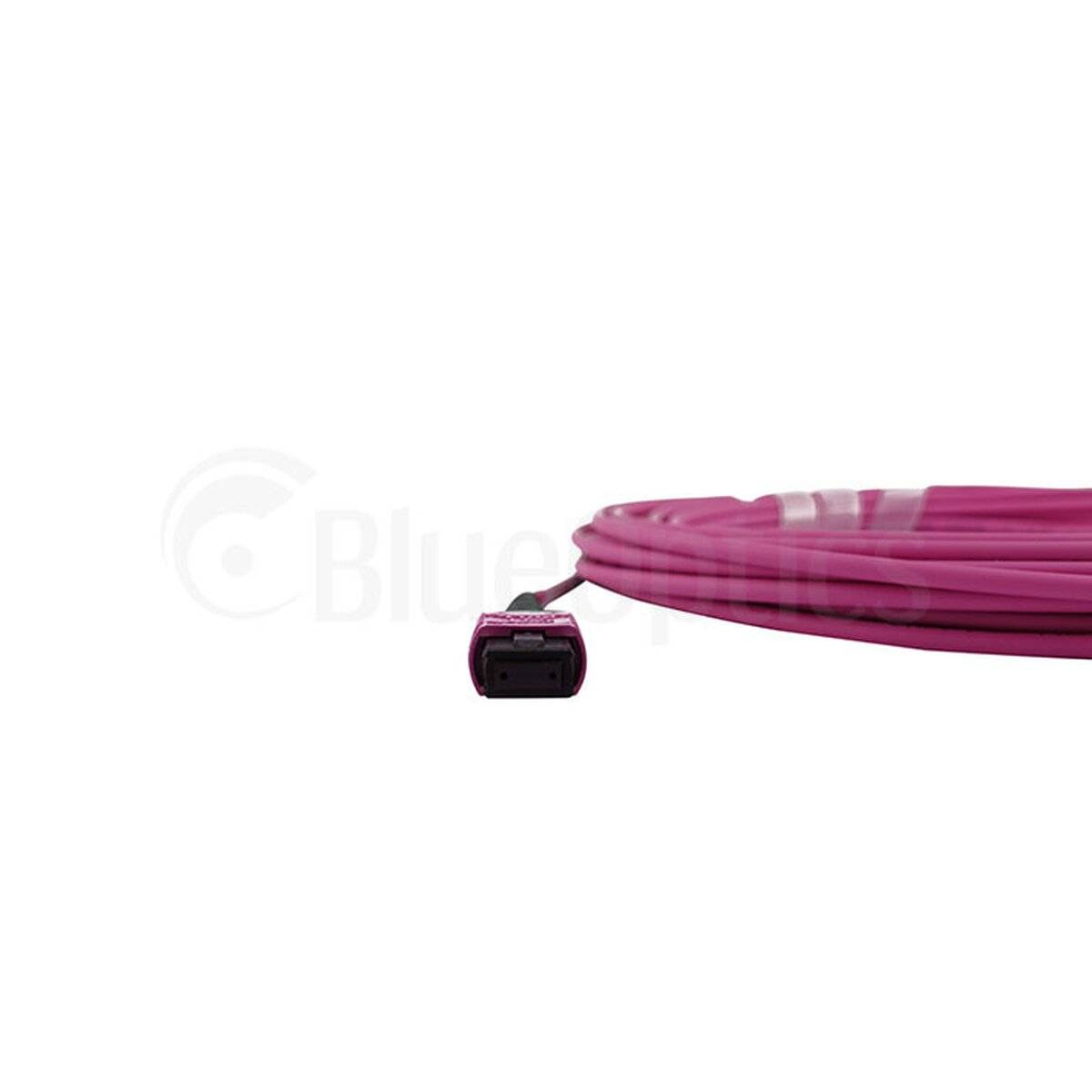BlueOptics EMC CBL-MPO12-OM4-30M kompatibles MPO-MPO Multimode OM4 Patchkabel 30