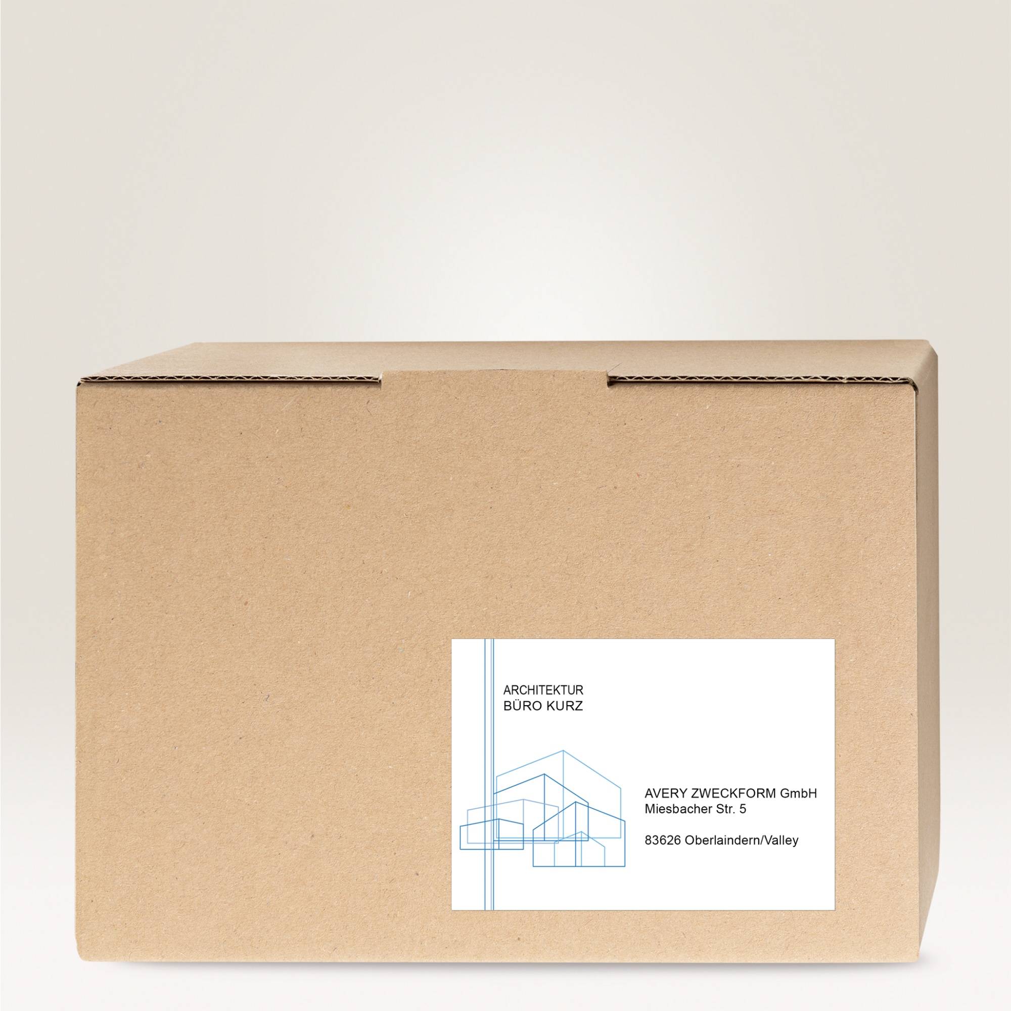 Avery-Zweckform 3655-200 Universal-Etiketten 210 x 148mm Papier Weiß 440 St. Permanent haftend Tintenstrahldrucker, Laserdrucker