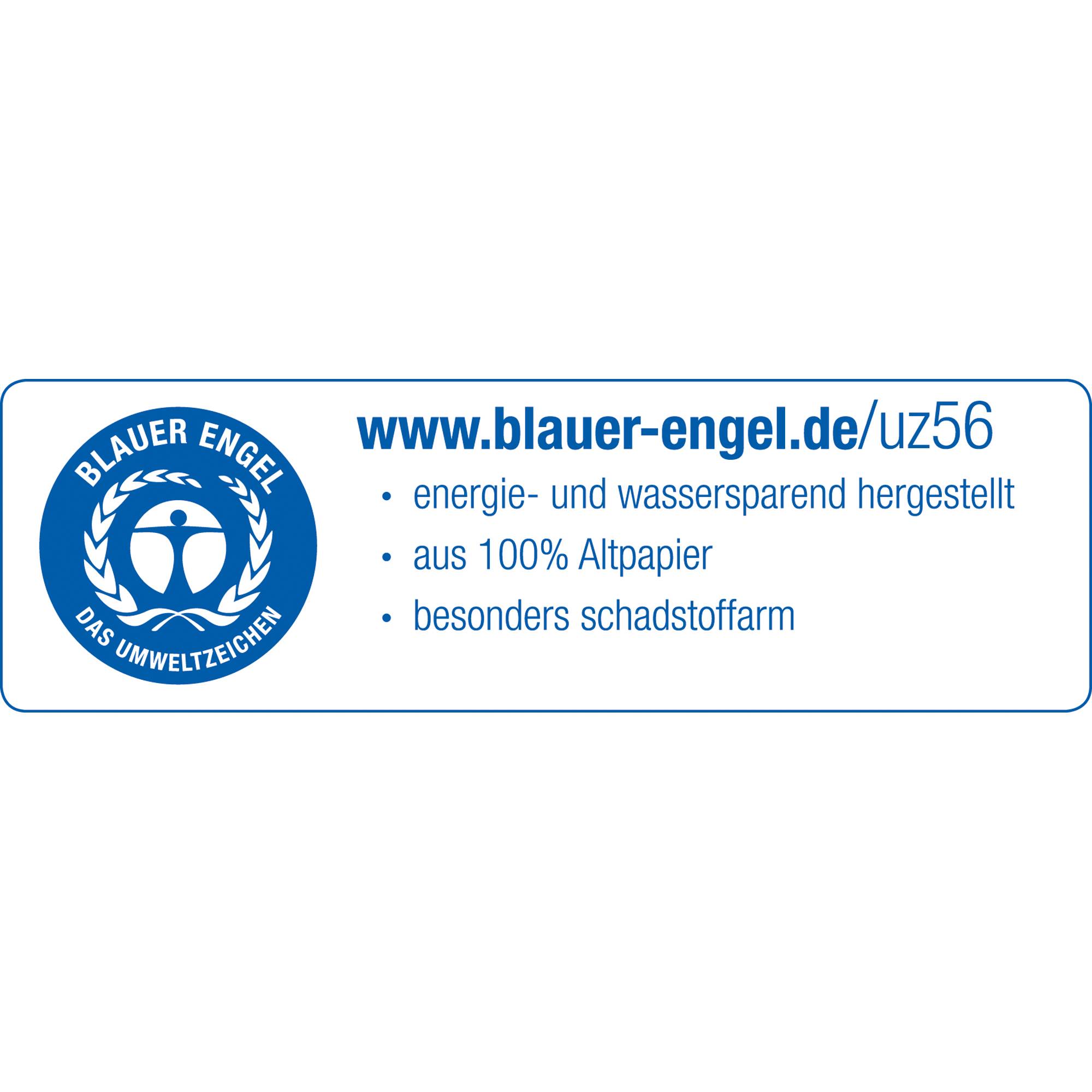 Leitz Ordner 1050 DIN A4 Rückenbreite: 52 mm Schwarz Wolkenmarmor 2 Bügel 10505095