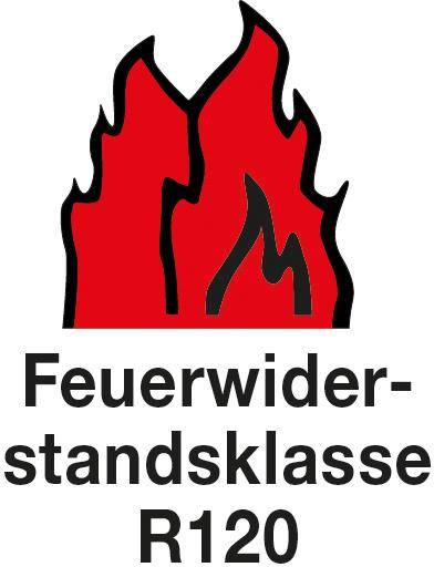 Fischer 44127 FNA II 6 x 25 OE Nagelanker 54mm 6mm 50St.