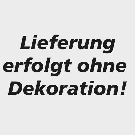 Quertrennsteg / Divider ProfiPlus Divider 3/3L grau PS VE=4 Stück