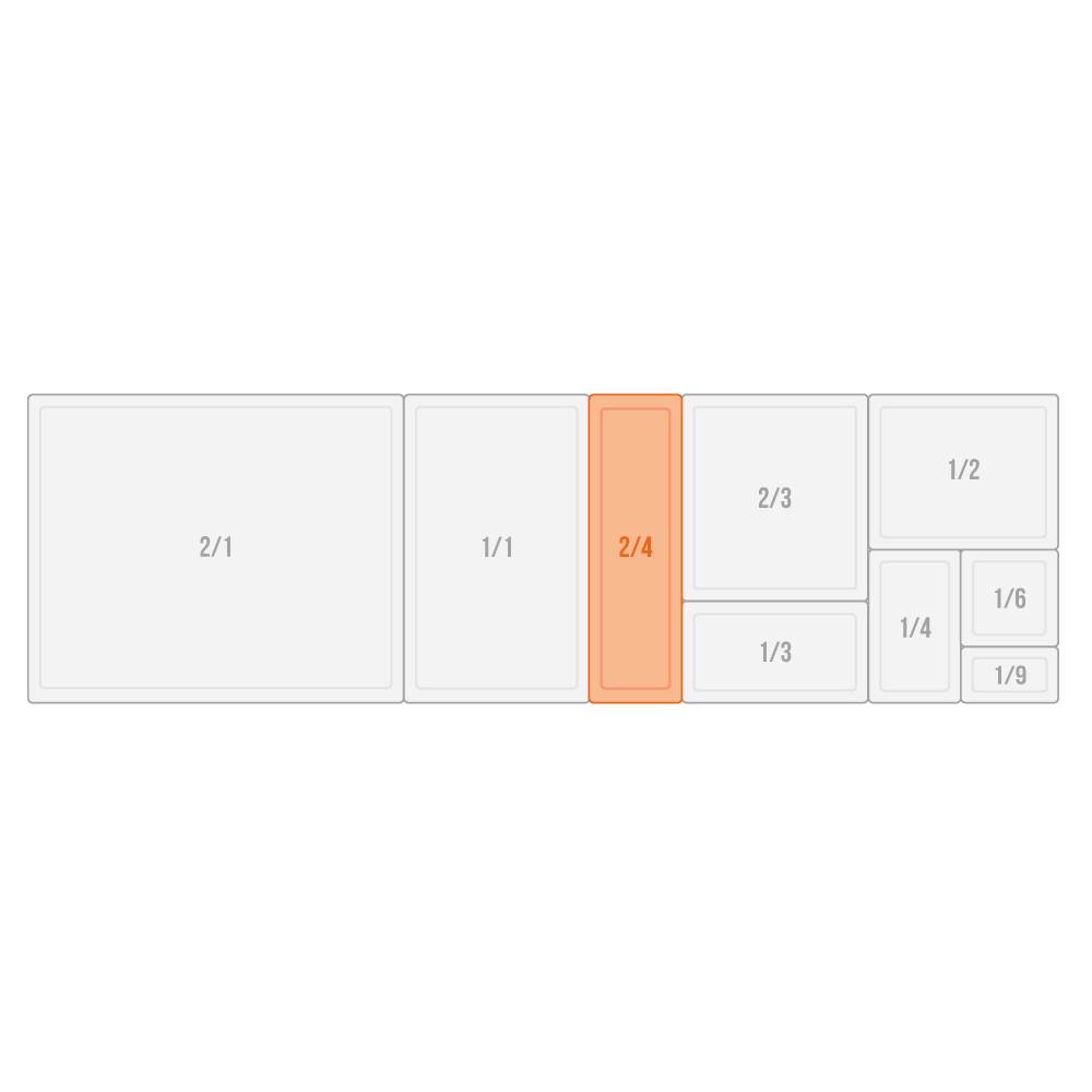 APS GN 2/4 Behälter 53,0 x 16,2 cm, Tiefe: 150 mm