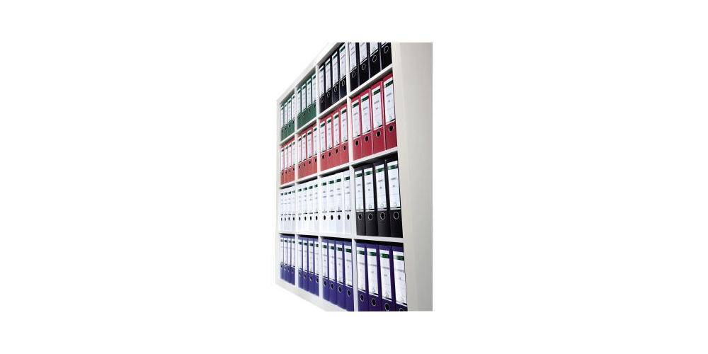 LEITZ Ordnerrücken-Etikett, 61 x 192 mm, kurz, breit, rot (801685225)