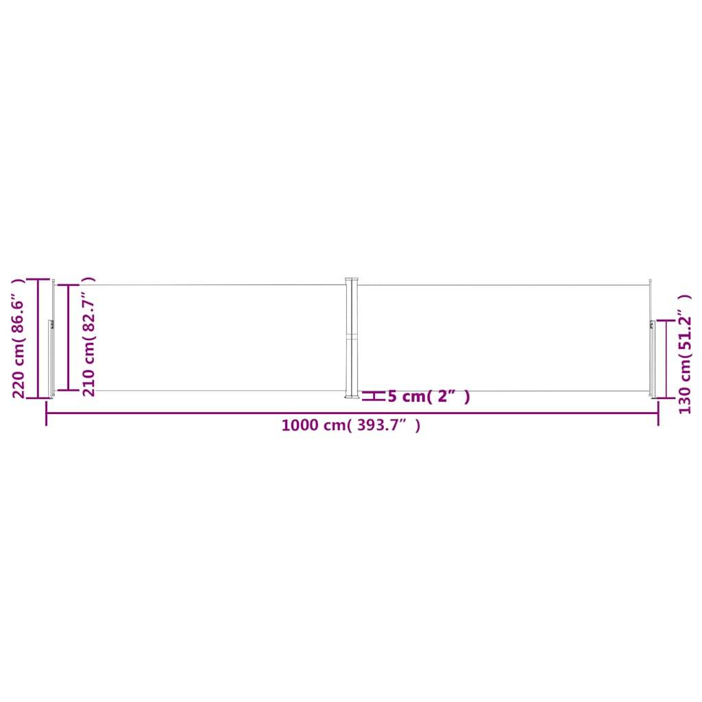 vidaXL Seitenmarkise Ausziehbar Anthrazit 220x1000 cm