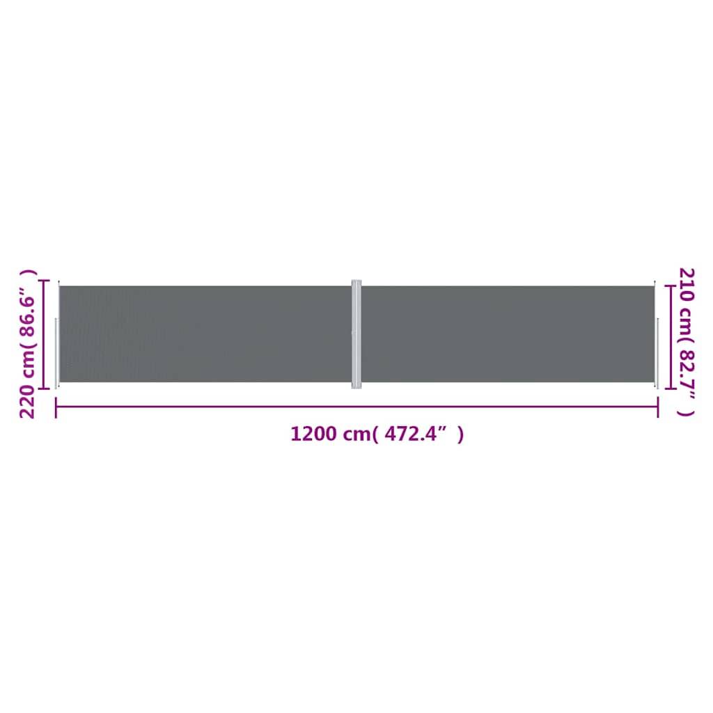 vidaXL Seitenmarkise Ausziehbar Anthrazit 220x1200 cm