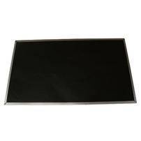 Lenovo - 35,60cm (14") HD slim anti-glare display panel - FRU (04X5880)