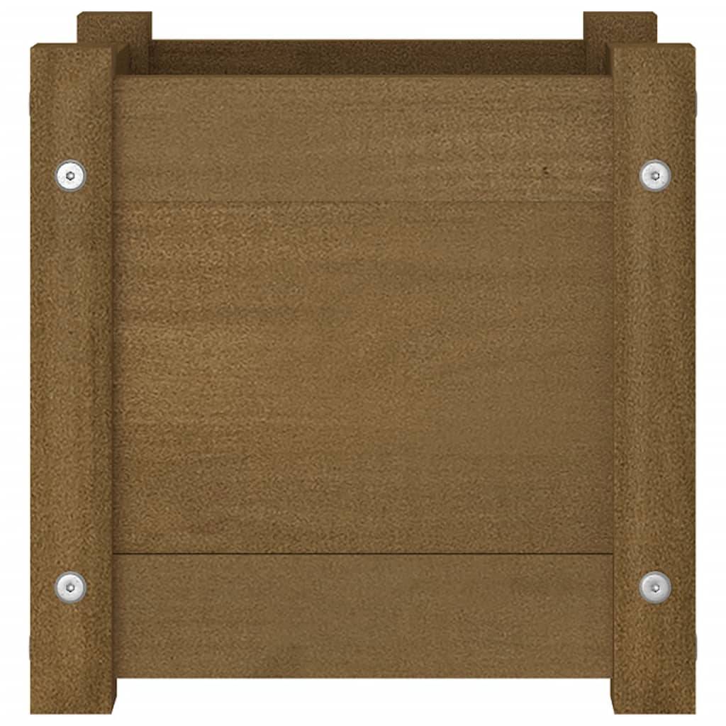 vidaXL Pflanzkübel Honigbraun 31x31x31 cm Massivholz Kiefer