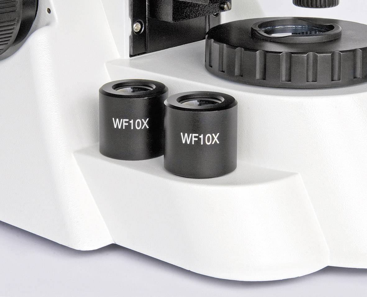 Zwei schwarze Okulare 'WF10X' auf einem weißen Mikroskopfuß, nahe einer Fokussierungsplattform.