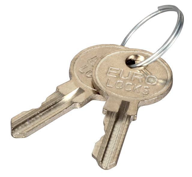 Ersatzschlüssel für Wandgehäuse IP55 und -- 3+5HE, 2 Stück Netzwerk- und Serverschränke