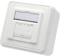 Telegärtner Modul-Aufnahme 80x80, 2-fach AP unbestückt H02000A0109