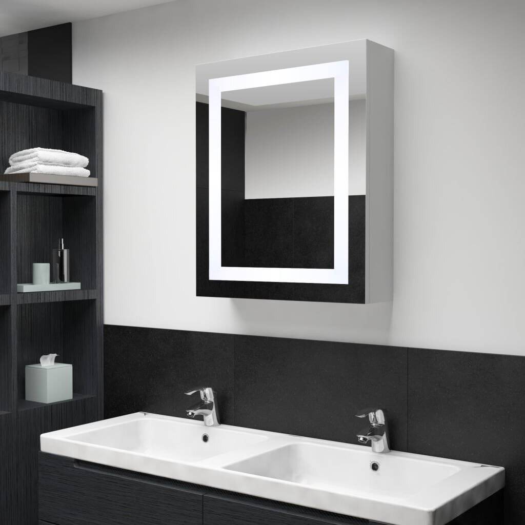 LED-Bad-Spiegelschrank 50 x 13 x 70 cm