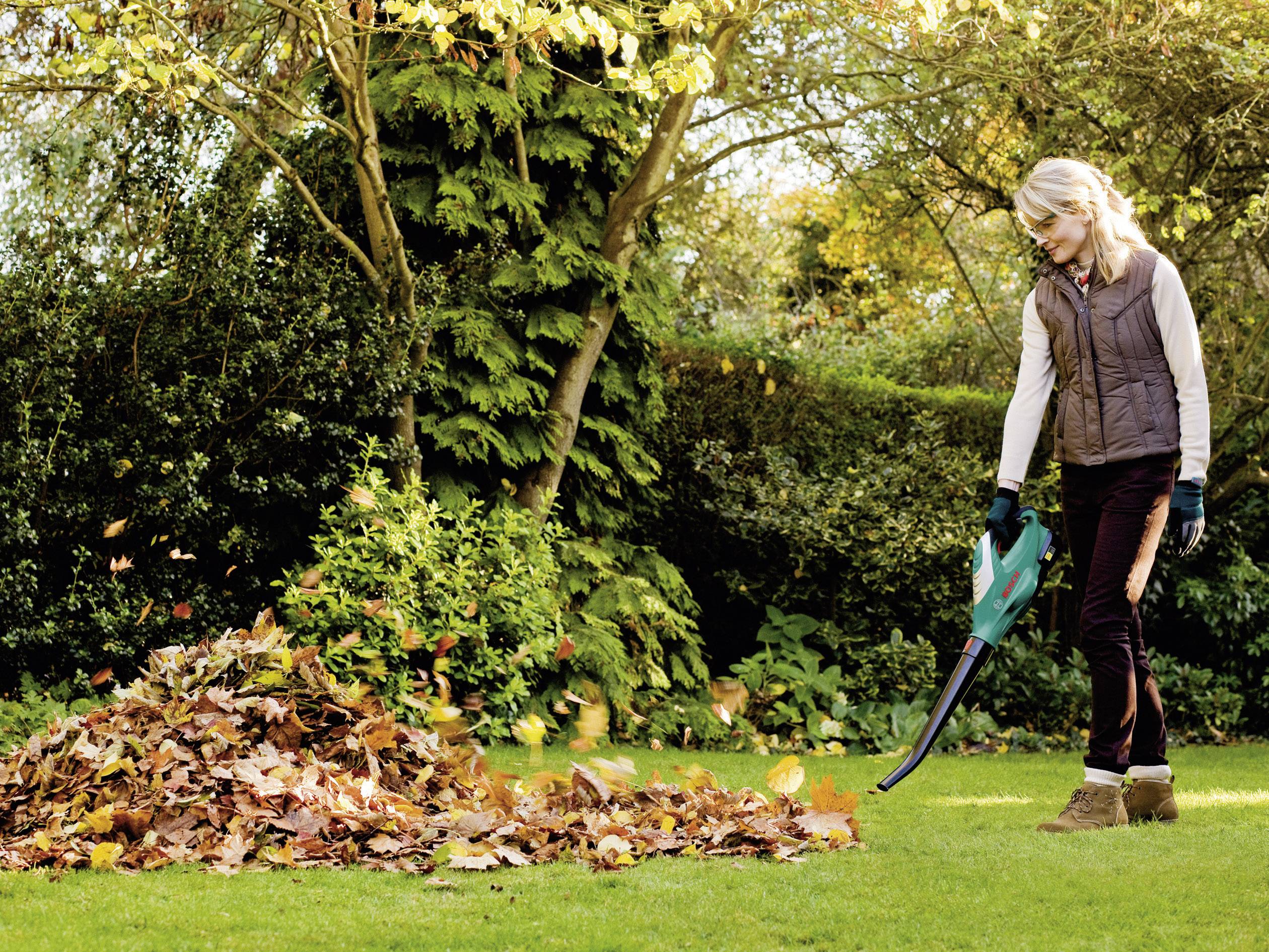 Bosch Home and Garden ALB 18 LI Akku 06008A0302 Laubbläser ohne Akku 18 V