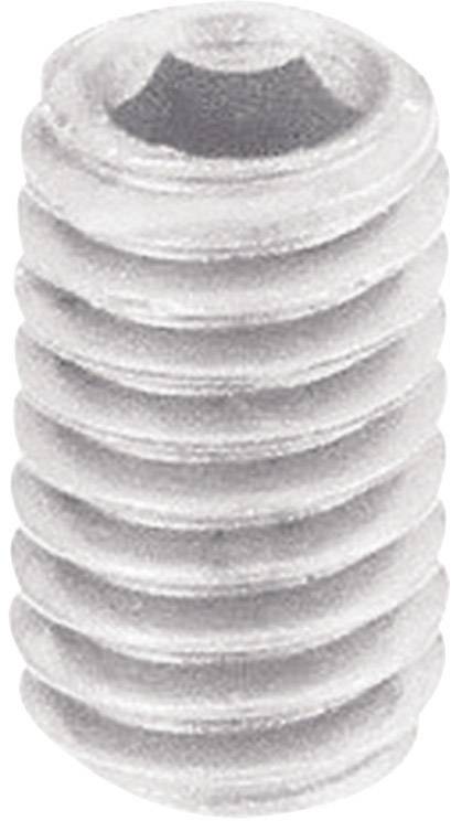 TOOLCRAFT 830369 Gewindestift M5 6mm Polyamid 10St.