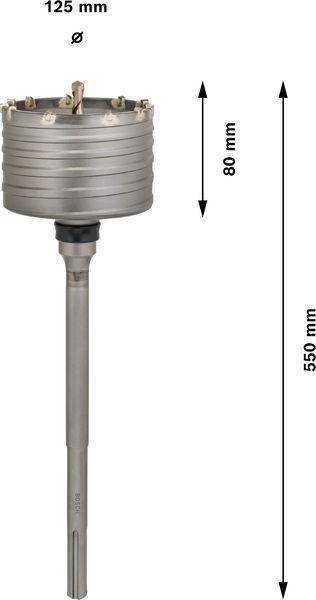 Bosch Accessories Bosch F00Y145201 Hohlbohrkrone 125 mm 1 St.