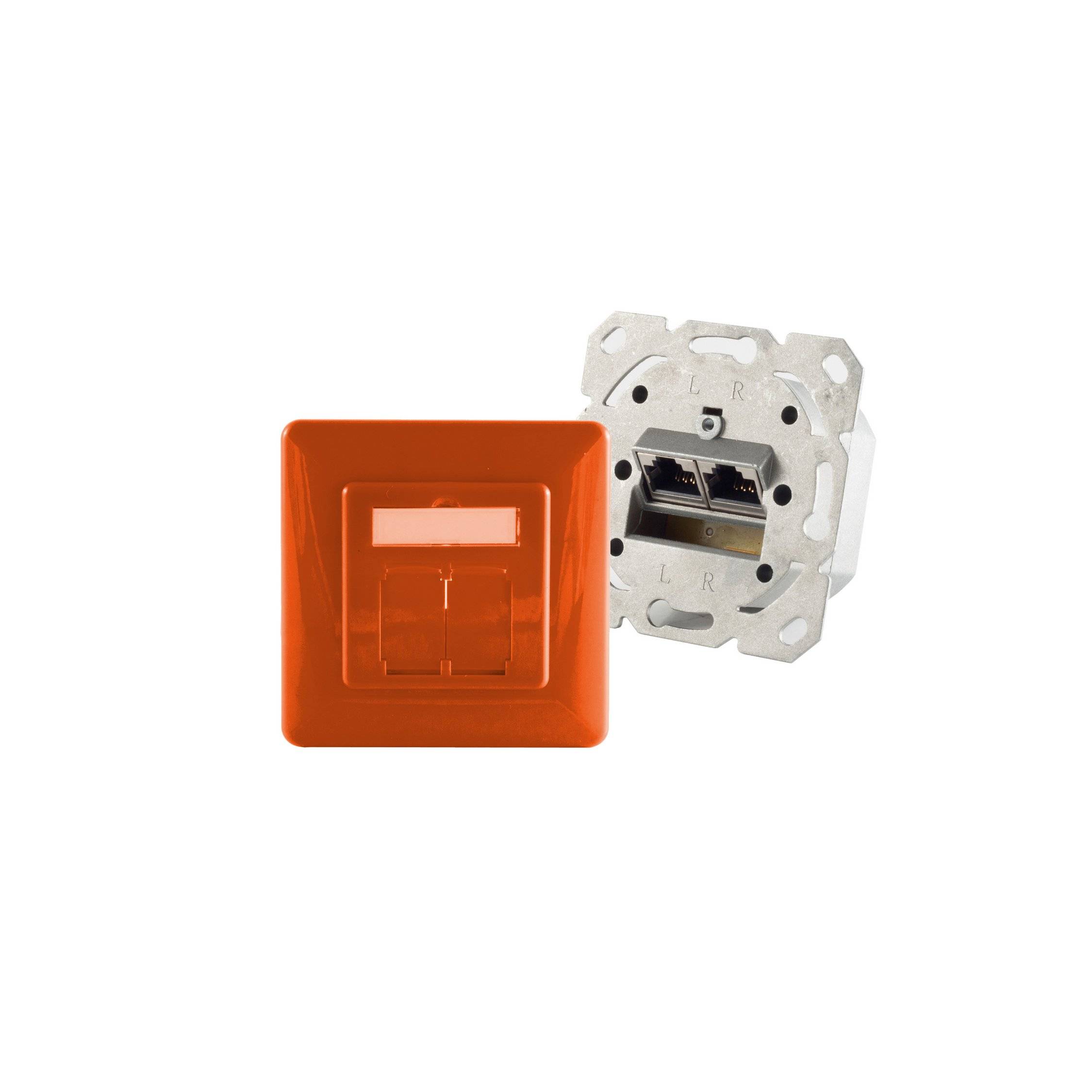 cat.6A Netzwerkdose 2-Fach designfähig, orange