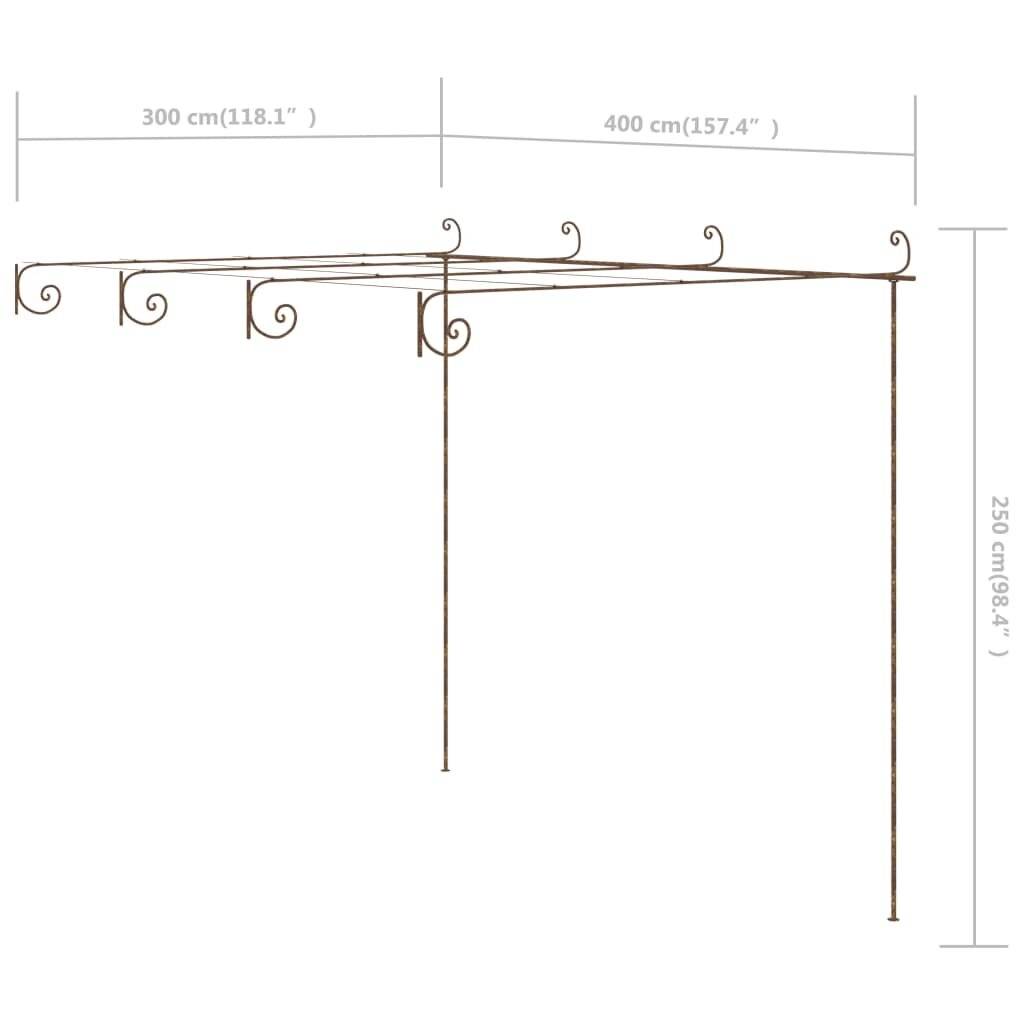 Garten-Rosenbogen Antik-Braun 4x3x2,5 m Eisen
