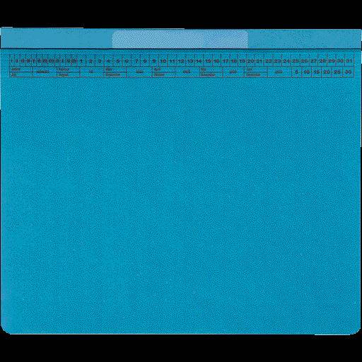 AdvoBedarf Hängehefter Kanzlei CLASSIC PLUS, 2 Abheftvorrichtungen, blau