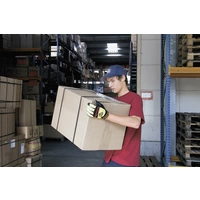 FerdyF. 1930-8 Mechanics Non-slip Clarino®-Kunstleder Montagehandschuh Größe (Handschuhe): 8, M EN 388:2016 CAT II 1 Paar FerdyF. 1930-8 Mechanics Non-slip Clarino®-Kunstleder Montagehandschuh Größe (Handschuhe): 8, M EN 388:2016 CAT II 1 Paar