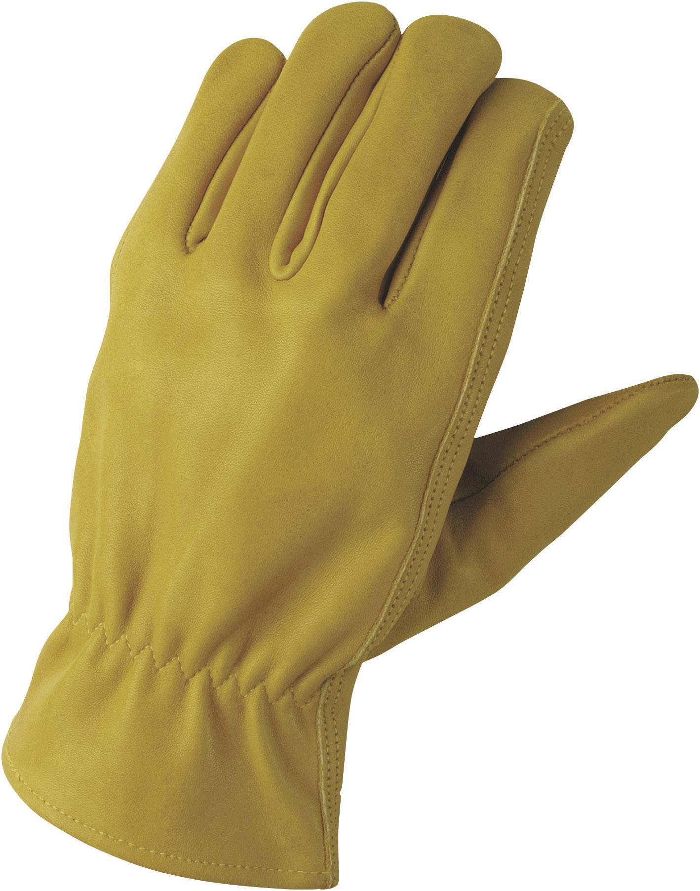 FerdyF. Conductor Garten 1610 Narbenleder Montagehandschuh Größe (Handschuhe): 10, XL EN 388 CAT II 1 Paar