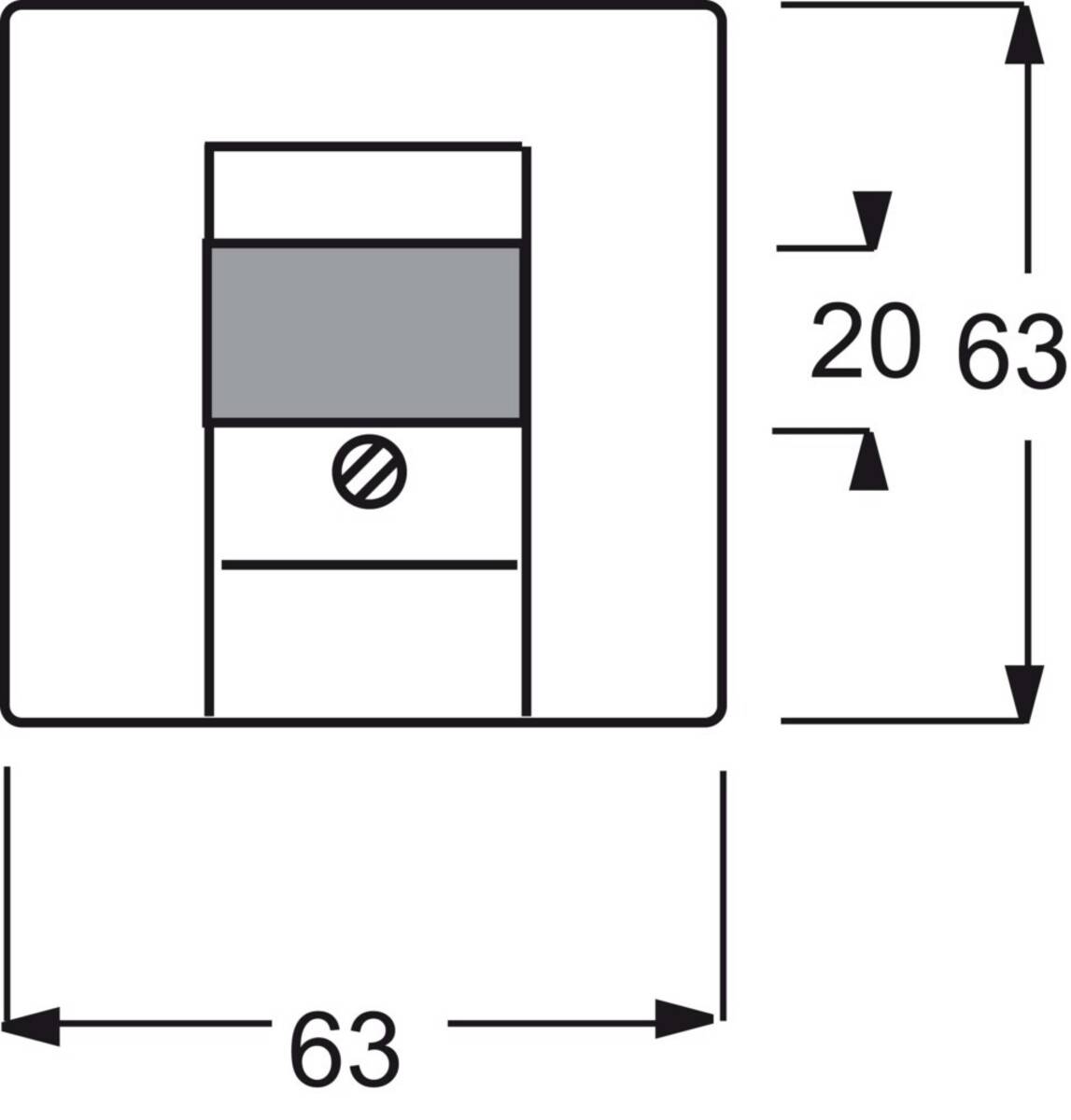 Busch-Jaeger Abdeckung TAE-Steckdose Solo Grau 2CKA001710A3854 1St.