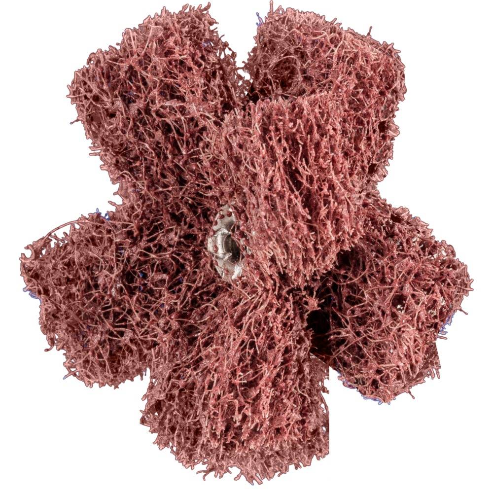 44698504 Schleifsterne Durchmesser 50 mm 20 St.