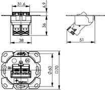 Telegärtner Modulaufnahme AMJ-S 2fach J00020A0510