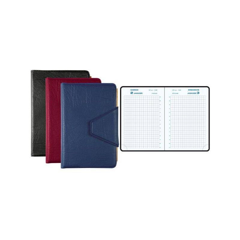 EXACOMPTA Agenda de poche Journal 13 Quadrillé 2027, assorti