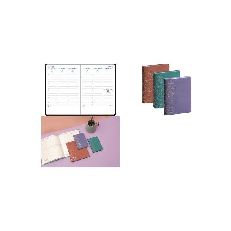 EXACOMPTA Agenda de poche Horizons 13, 2026, Amelie assorti