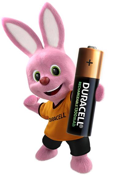 Duracell Rechargeable