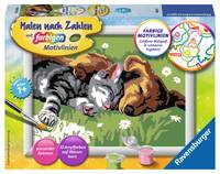 Tiefer Schlaf, 1 Seiten, Farben enthalten, Junge/Mädchen, Malen nach Zahlen Set