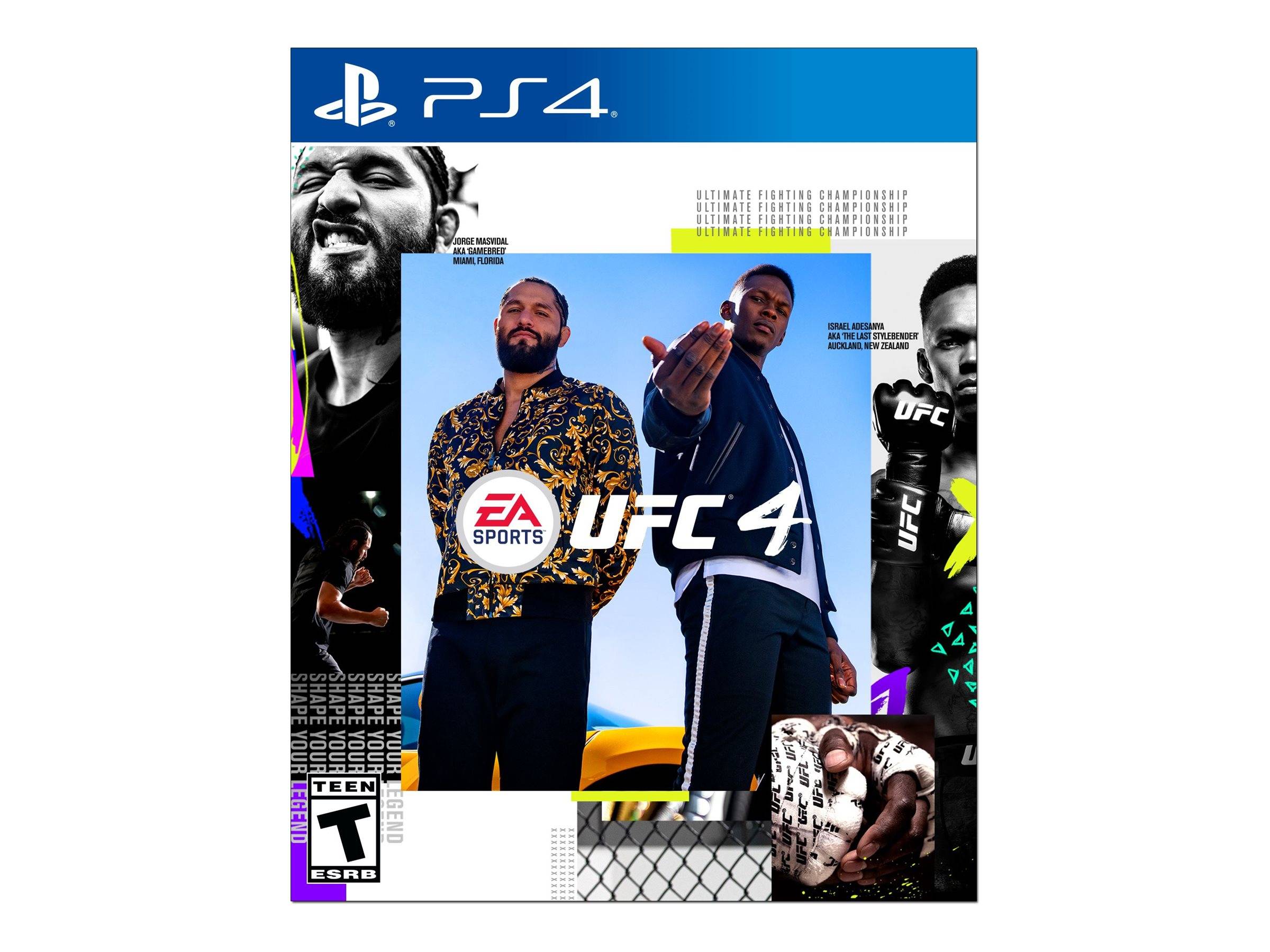 Electronic Arts UFC 4 - PlayStation 4
