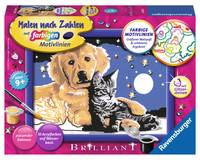 Ravensburger 28016 Ravensburger Malen-nach-Zahlen Funkelnder Sternenhimmel